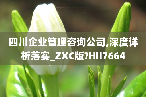 四川企业管理咨询公司,深度详析落实_ZXC版?HII7664