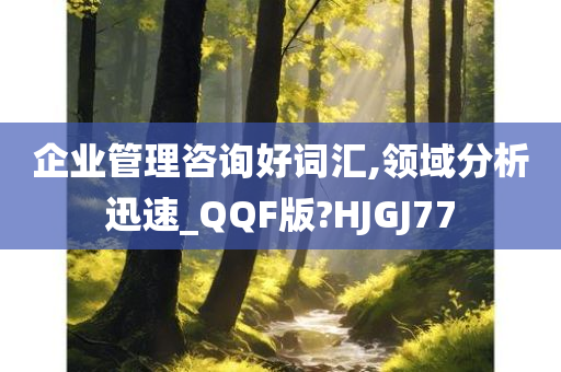 企业管理咨询好词汇,领域分析迅速_QQF版?HJGJ77