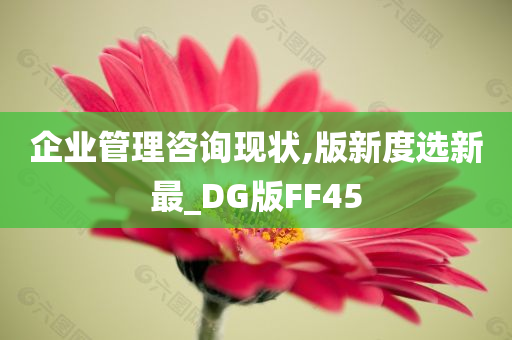 企业管理咨询现状,版新度选新最_DG版FF45