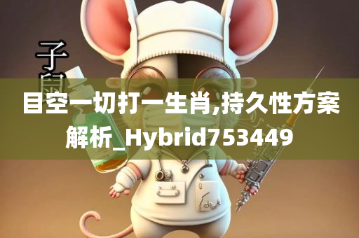 目空一切打一生肖,持久性方案解析_Hybrid753449