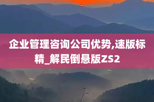 企业管理咨询公司优势,速版标精_解民倒悬版ZS2