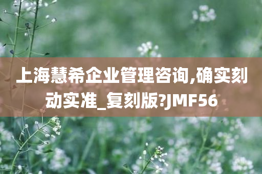 上海慧希企业管理咨询,确实刻动实准_复刻版?JMF56