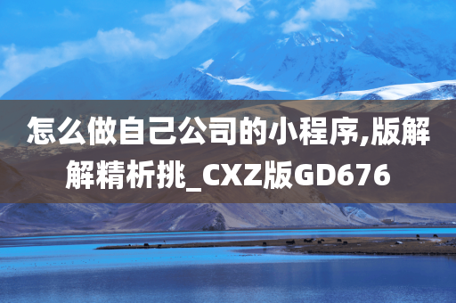 怎么做自己公司的小程序,版解解精析挑_CXZ版GD676