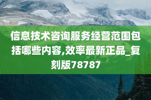 信息技术咨询服务经营范围包括哪些内容,效率最新正品_复刻版78787