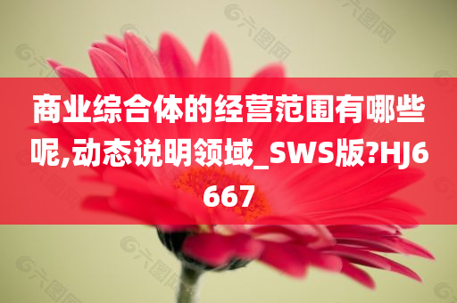 商业综合体的经营范围有哪些呢,动态说明领域_SWS版?HJ6667