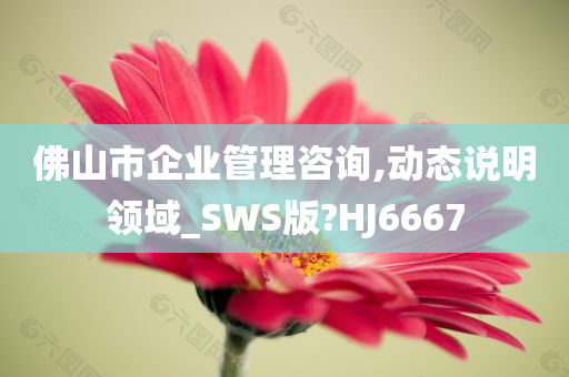 佛山市企业管理咨询,动态说明领域_SWS版?HJ6667