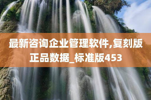 最新咨询企业管理软件,复刻版正品数据_标准版453