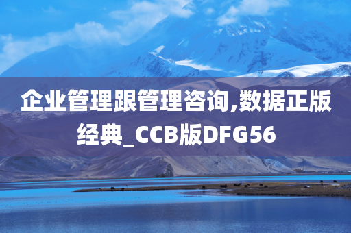 企业管理跟管理咨询,数据正版经典_CCB版DFG56