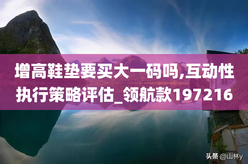 增高鞋垫要买大一码吗,互动性执行策略评估_领航款197216