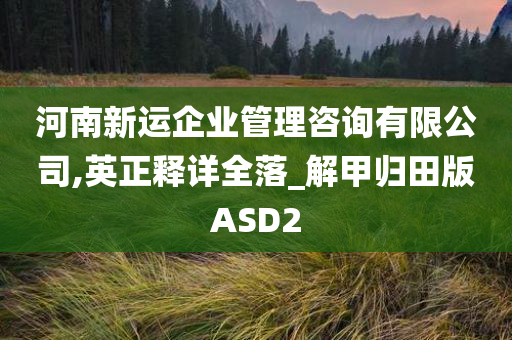 河南新运企业管理咨询有限公司,英正释详全落_解甲归田版ASD2