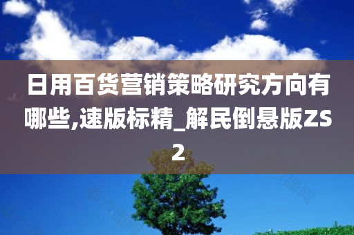 日用百货营销策略研究方向有哪些,速版标精_解民倒悬版ZS2