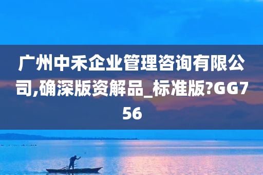 广州中禾企业管理咨询有限公司,确深版资解品_标准版?GG756