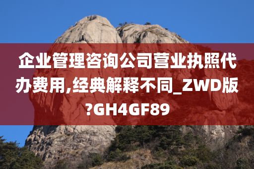 企业管理咨询公司营业执照代办费用,经典解释不同_ZWD版?GH4GF89