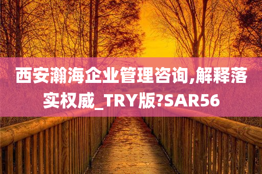 西安瀚海企业管理咨询,解释落实权威_TRY版?SAR56