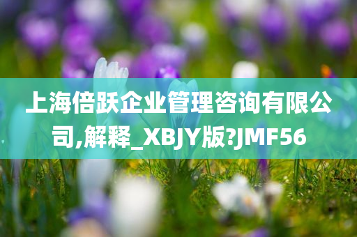 上海倍跃企业管理咨询有限公司,解释_XBJY版?JMF56