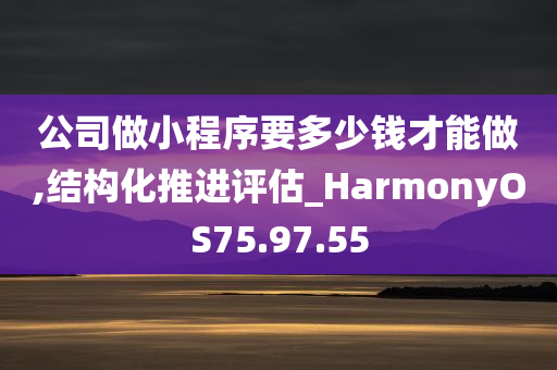 公司做小程序要多少钱才能做,结构化推进评估_HarmonyOS75.97.55