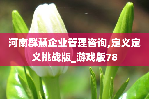 河南群慧企业管理咨询,定义定义挑战版_游戏版78