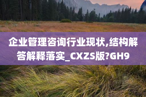 企业管理咨询行业现状,结构解答解释落实_CXZS版?GH9