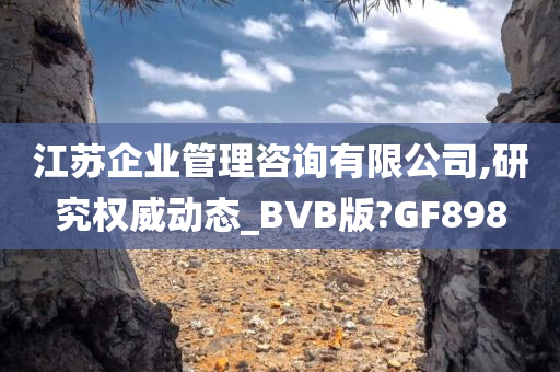 江苏企业管理咨询有限公司,研究权威动态_BVB版?GF898