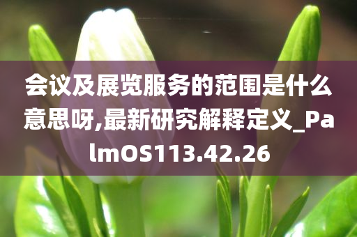 会议及展览服务的范围是什么意思呀,最新研究解释定义_PalmOS113.42.26