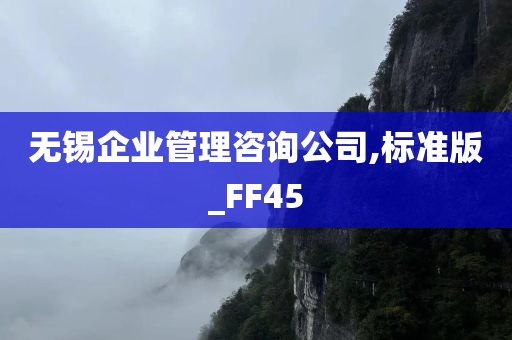 无锡企业管理咨询公司,标准版_FF45