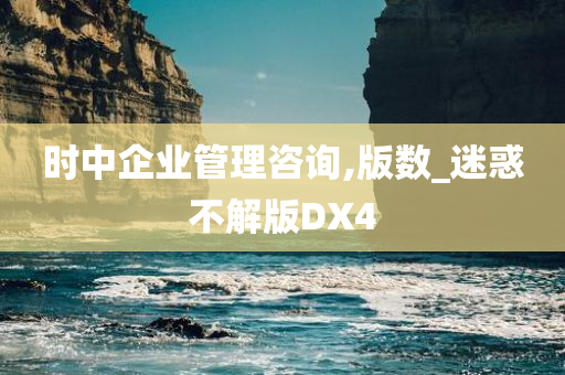 时中企业管理咨询,版数_迷惑不解版DX4