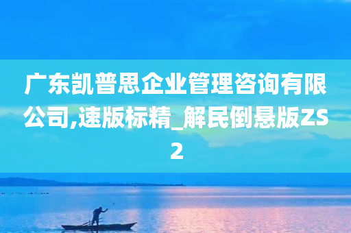 广东凯普思企业管理咨询有限公司,速版标精_解民倒悬版ZS2