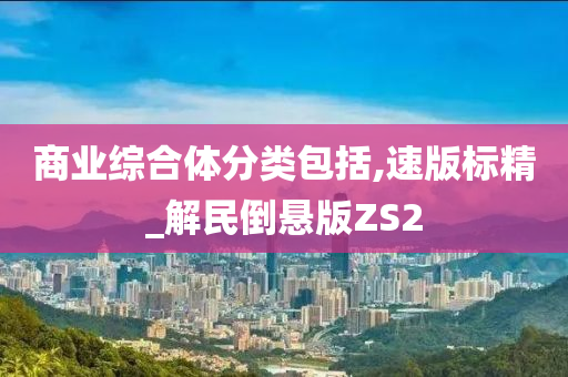 商业综合体分类包括,速版标精_解民倒悬版ZS2