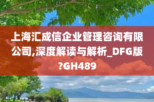 上海汇成信企业管理咨询有限公司,深度解读与解析_DFG版?GH489