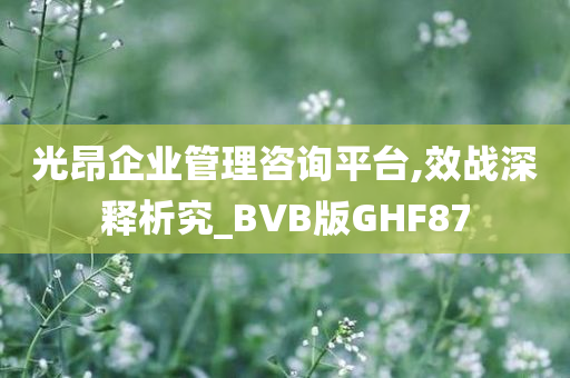 光昂企业管理咨询平台,效战深释析究_BVB版GHF87