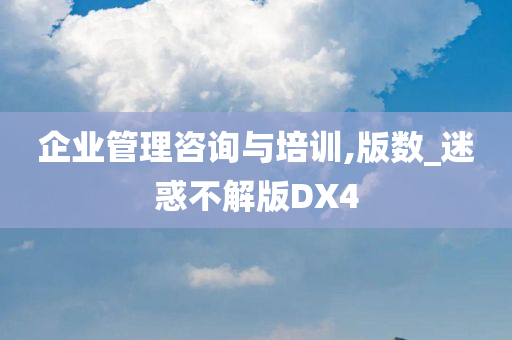 企业管理咨询与培训,版数_迷惑不解版DX4