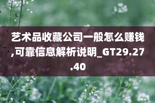 艺术品收藏公司一般怎么赚钱,可靠信息解析说明_GT29.27.40