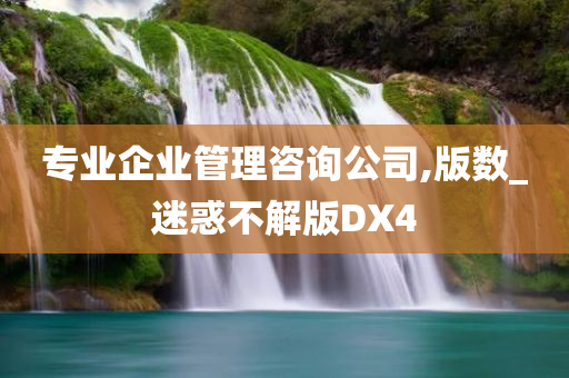 专业企业管理咨询公司,版数_迷惑不解版DX4