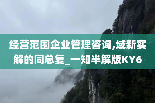 经营范围企业管理咨询,域新实解的同总复_一知半解版KY6