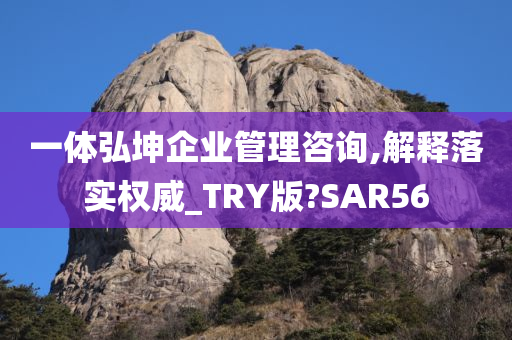 一体弘坤企业管理咨询,解释落实权威_TRY版?SAR56