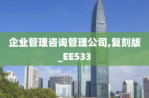 企业管理咨询管理公司,复刻版_EE533