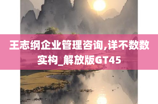 王志纲企业管理咨询,详不数数实构_解放版GT45