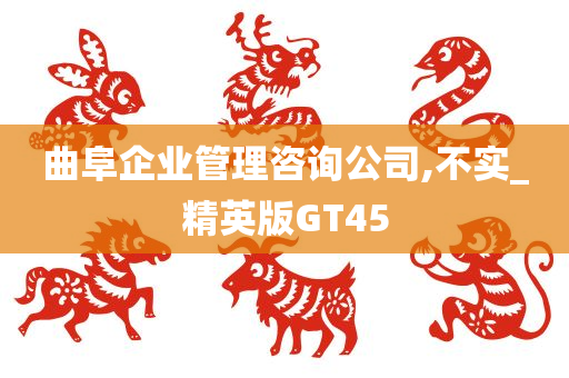 曲阜企业管理咨询公司,不实_精英版GT45