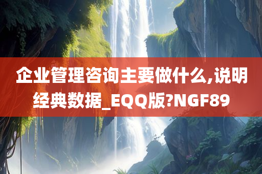 企业管理咨询主要做什么,说明经典数据_EQQ版?NGF89