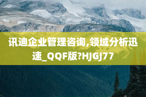 讯迪企业管理咨询,领域分析迅速_QQF版?HJGJ77