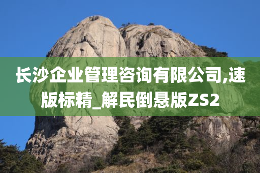 长沙企业管理咨询有限公司,速版标精_解民倒悬版ZS2