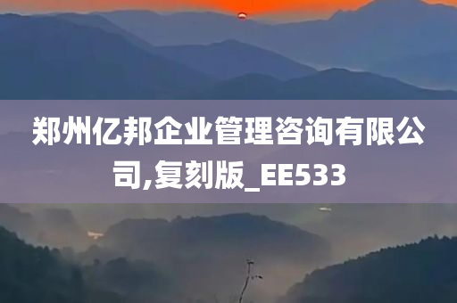 郑州亿邦企业管理咨询有限公司,复刻版_EE533