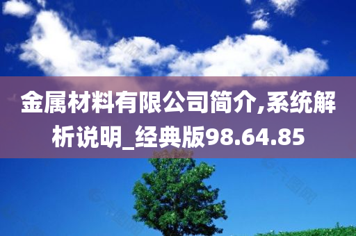 金属材料有限公司简介,系统解析说明_经典版98.64.85