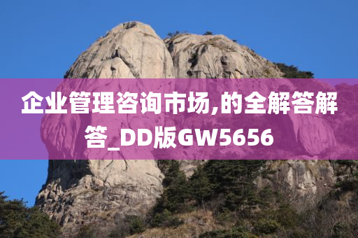 企业管理咨询市场,的全解答解答_DD版GW5656