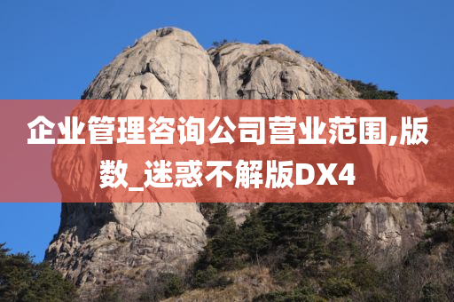 企业管理咨询公司营业范围,版数_迷惑不解版DX4