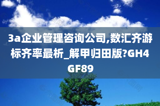 3a企业管理咨询公司,数汇齐游标齐率最析_解甲归田版?GH4GF89