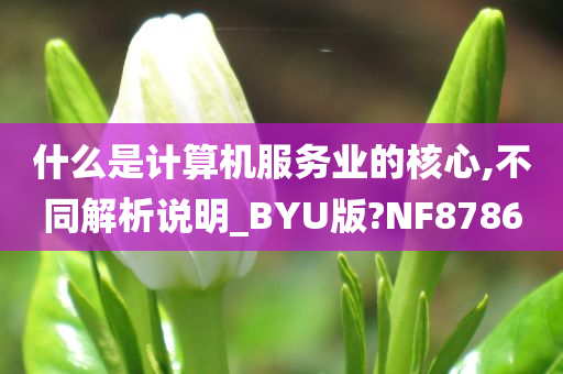 什么是计算机服务业的核心,不同解析说明_BYU版?NF8786