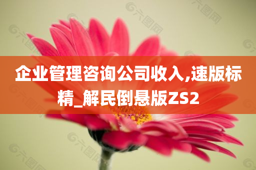 企业管理咨询公司收入,速版标精_解民倒悬版ZS2