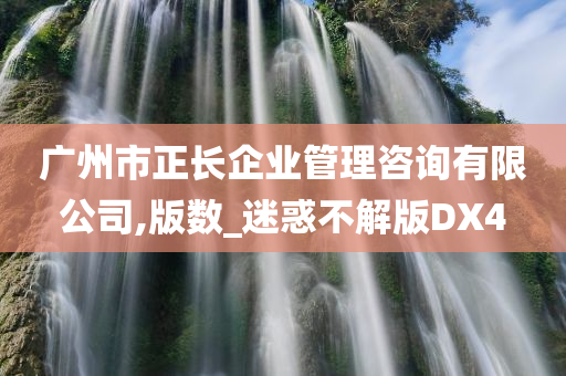 广州市正长企业管理咨询有限公司,版数_迷惑不解版DX4