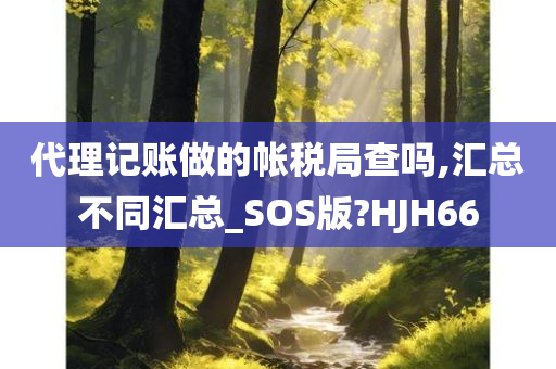 代理记账做的帐税局查吗,汇总不同汇总_SOS版?HJH66